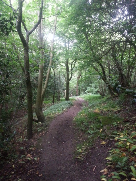One of the short wooded sections