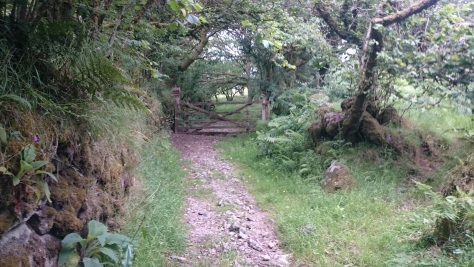 Part of the Trail after Ingra Torr